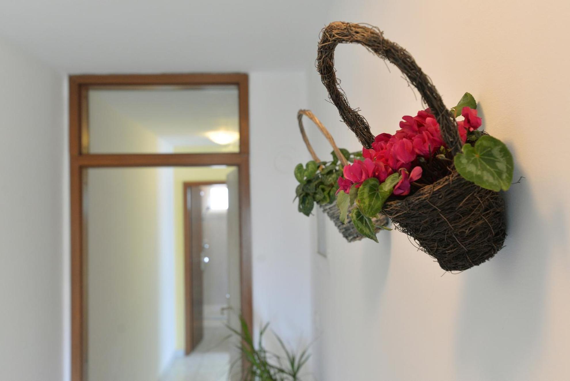 Apartments Kostelic ムルテル エクステリア 写真